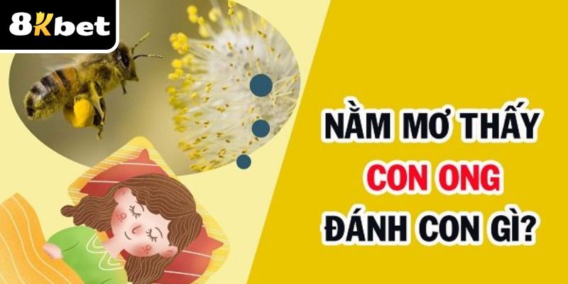 Mơ Thấy Con Ong Số Gì? Điềm Báo Ra Sao? 